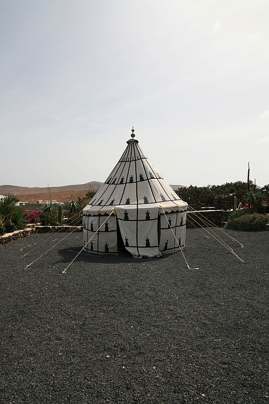 Kanary_2010 182
